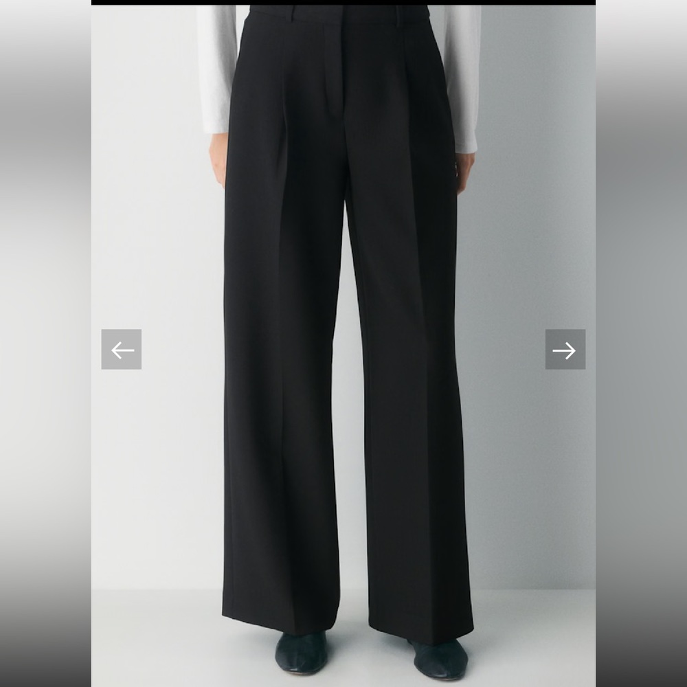 Aritzia Babton Pleated Classic Black Pants